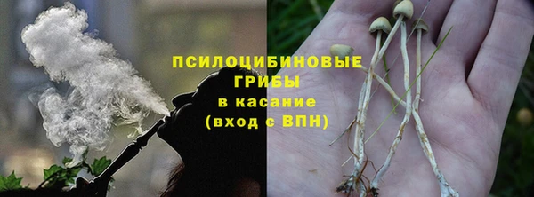 соль ск Абаза