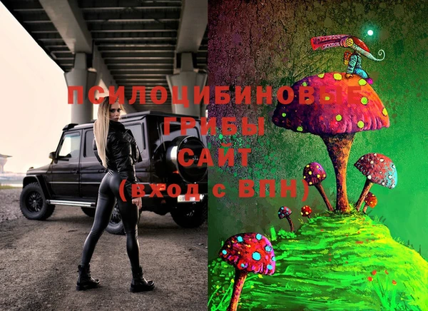 ECSTASY Абдулино