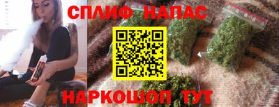 стаф Боровичи