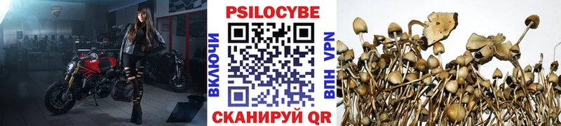 Псилоцибиновые грибы мухоморы  что такое   Батайск 