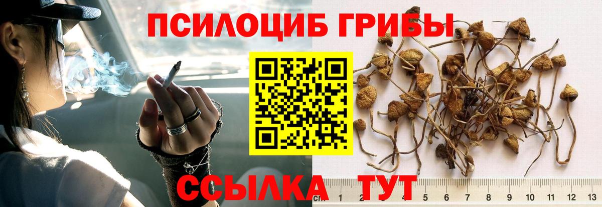 Галлюциногенные грибы Magic Shrooms Батайск